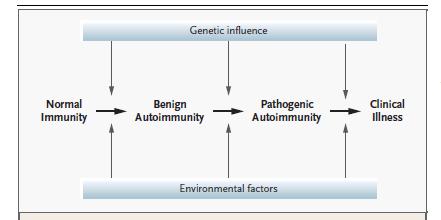 GENERALITA SULLE PATOLOGIE AUTOIMMUNI Le patologie autoimmuni sono un insieme di patologie complesse ad eziologia multifattoriale, differenti per importanza clinica, rilevanza epidemiologica e