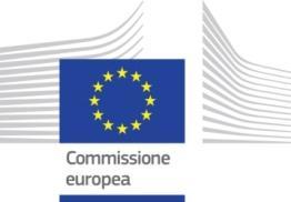 La Commissione europea È l attore centrale dei finanziamenti diretti: provvede ad erogare i fondi e stabilisce autonomamente criteri e principi di funzionamento dei vari programmi e dei bandi