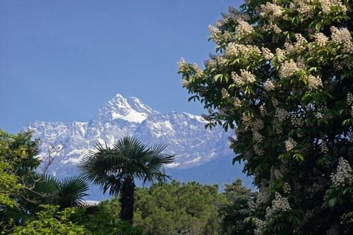 e alla sera menù a scelta Una BusCard Merano Un biglietto cumulativo terme e