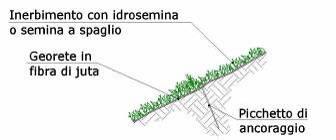 In linea generale nelle zone di scavo e di riporto, dove le caratteristiche di rocciosità e la profondità del suolo lo permettano, si prevede una preventiva asportazione del terreno vegetale con