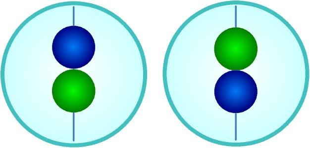 ATTENZIONE: osservare il Sole SOLAMENTE APPLICANDO I FILTRI!!! Controllare il semidiametro del Sole dalle effemeridi (es. 15') moltiplicare per due (es.