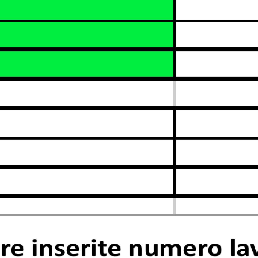 profili professionali del personale che presumibilmente verrà