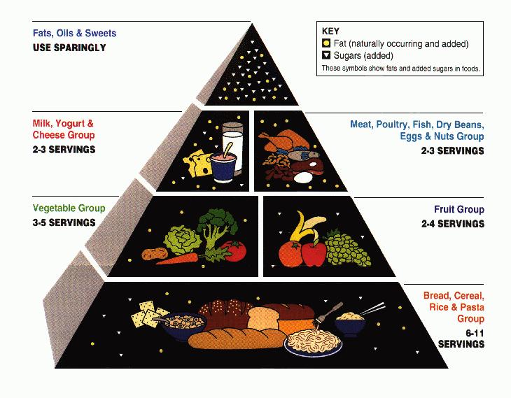 La PIRAMIDE ALIMENTARE è la rappresentazione grafica di una dieta equilibrata, che riunisce tre