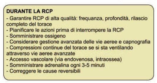 ALGORITMO RITMI NON DEFIBRILLABILI Asistolia/PEA RCP 2 min RCP 2 min RCP 2 min RCP 2 min RCP 2 min Adrenalina 1 mg Adrenalina 1