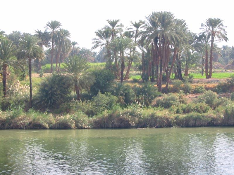 Sai che cosa significano le sigle a.c e d.c? a.c = ; d.c = Il dono del Nilo Per leggere e capire Rispondi con Vero (V) o Falso (F) 1. Il Nilo attraversa l Egitto e finisce nel Mar Mediterraneo V F 2.