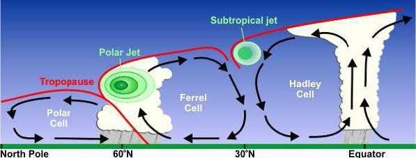 CIRCOLAZIONE GENERALE DELL ATMOSFERA Celle di HADLEY, di FERREL e POLARI Rappresentano i movimenti dell