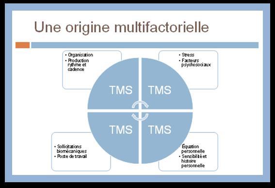 Analisi: relazione tra i fattori di rischio dei DMS e l ambiente lavorativo Un origine multifattoriale Organizzazione Produzione, ritmo e cadenza DMS DMS Stress