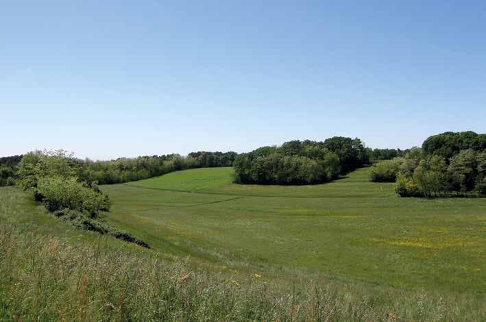 Il contesto del progetto L ambito di studio del progetto è riferito ad un area di circa 23.