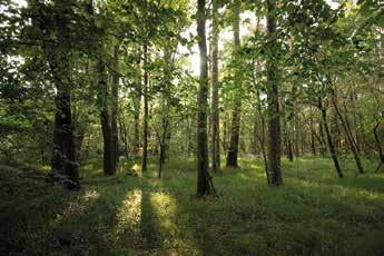 settore planiziale, contraddistinto da pressione antropica elevata, naturalità residua e popolazioni selvatiche spesso non in grado di auto-sostenersi senza scambi e apporti di individui provenienti