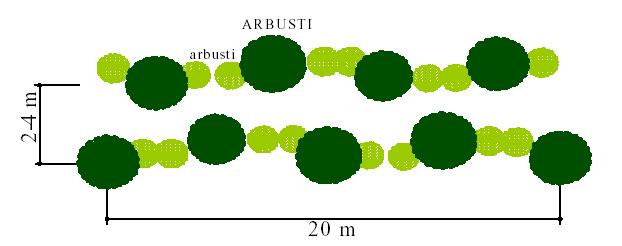 Approfondimenti naturalistici (FLA): Le fasi: studi