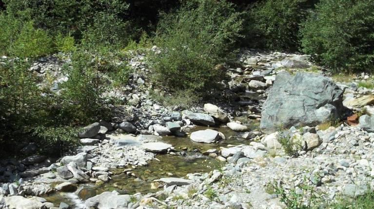 3.2 Stazione 2: Tratto sotteso (loc. Lignan St. Barthélemy) La stazione selezionata in questo tratto per l applicazione dell Indice Biotico Esteso si trova a valle della frazione di St.