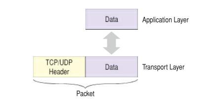 Quando su di una rete sono operativi più host, allora ci saranno più messaggi inviati e ricevuti contemporaneamente, quindi il livello di trasporto opera il multiplexing/demultiplexing.