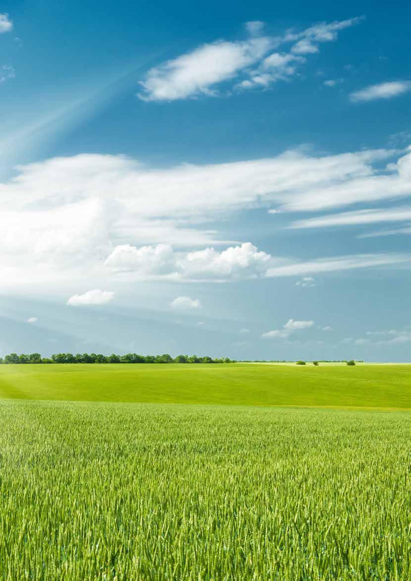 CATALOGO CEREALI 2014 Manara Sementi vi propone le migliori varietà presenti sul mercato FRUMENTO TENERO FRUMENTO DURO ORZO TRITICALE Pag.