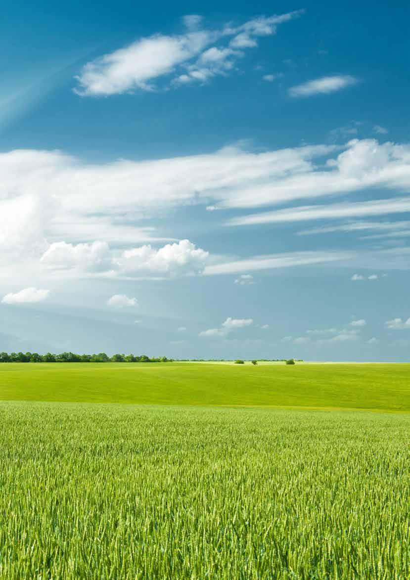 FRUMENTO TENERO varietà alternatività ciclo spigatura ciclo maturazione altezza tipo di spiga colore granella classific. teclog.