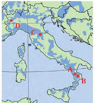 Specie Italiane Castagno - Report