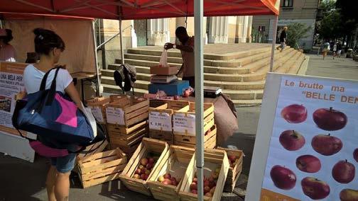 Altri progetti: «frutta brutta» Impatto ambientale/economico In tre mercati agricoli di Milano: bancarella per vendita di mele «brutte» a 0.80-0.90 euro kg.