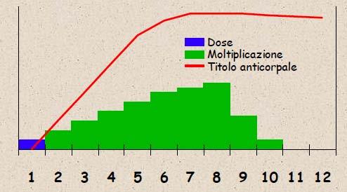 valido Vaccino vivo il ceppo attenuato si moltiplica nell ospite le difese