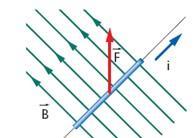 FORZA MAGNETICA SU UN FILO PERCORSO DA CORRENTE La forza che agisce su un filo