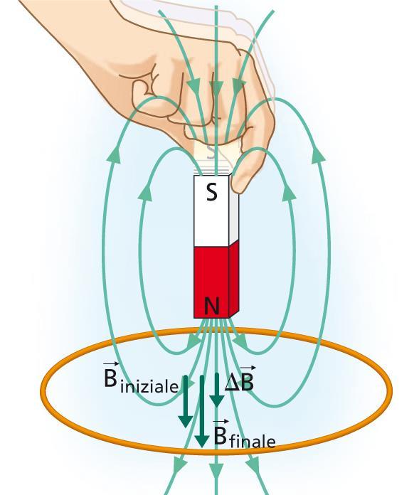 VERSO DELLA CORRENTE INDOTTA Quando una calamita si avvicina a un circuito (figura a sinistra), il campo magnetico prodotto dalla calamita sulla superficie del circuito aumenta.