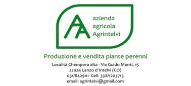 Domenica 12 ore 17,00 Giovedì 16 Venerdì 17 e Sabato 18 Sabato 18 Domenica 19 dalle 9,30 alle 13,00 da Venerdì 24 a Domenica 26 Venerdì 24