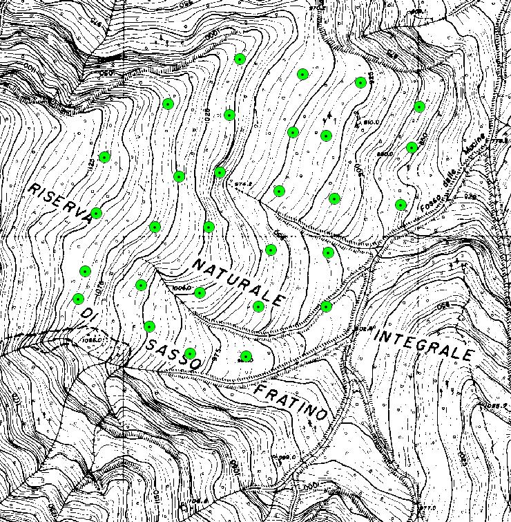 Area di studio: SASSO FRATINO Griglia di 100 m