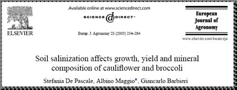 Salinità e produzione