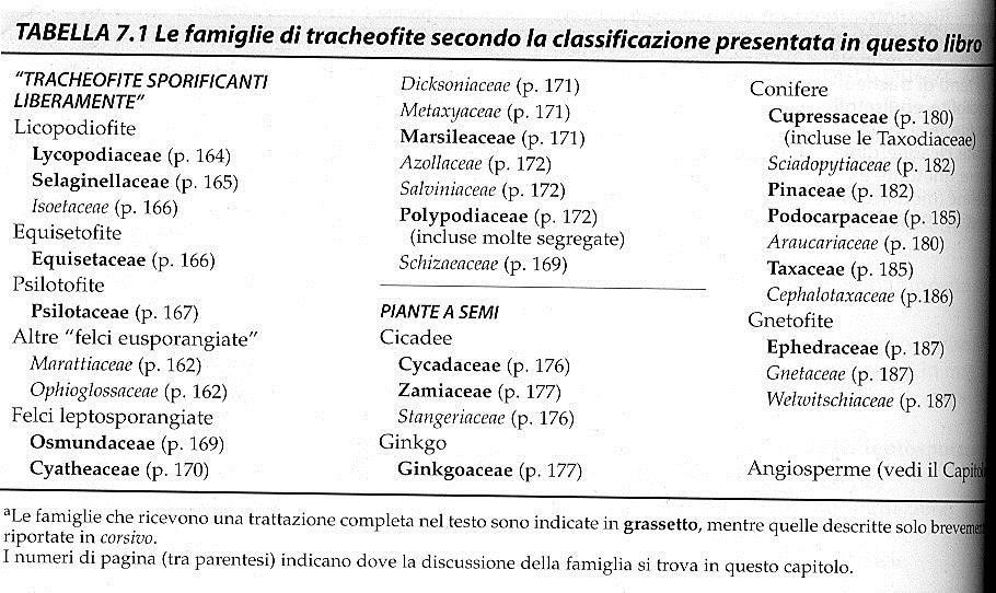 Le felci presentano due tipi di sporangi : lo sporangio eusporangiato, è avvolto da due o più