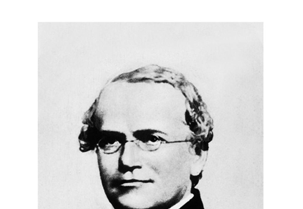 Gregor Johann Mendel