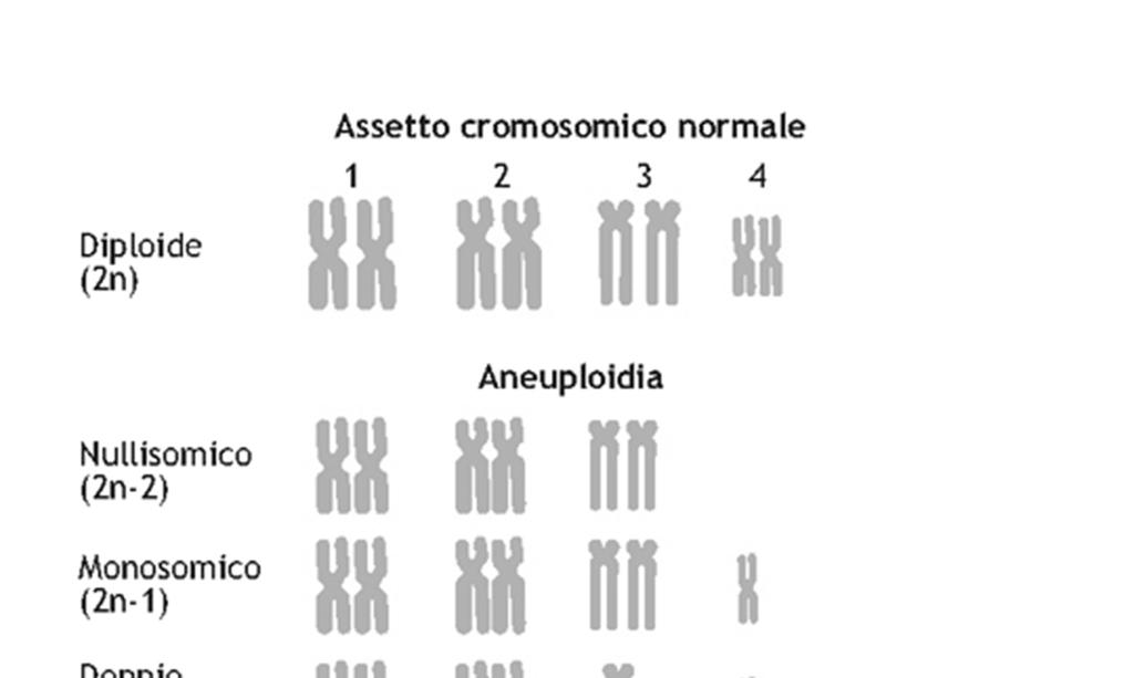 Aneuploidie: variazione di numero di uno o pochi