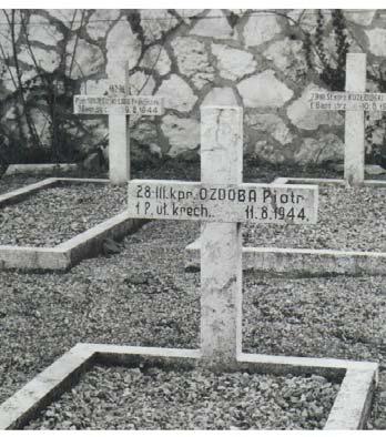 Eusebi) Cimitero di guerra polacco a