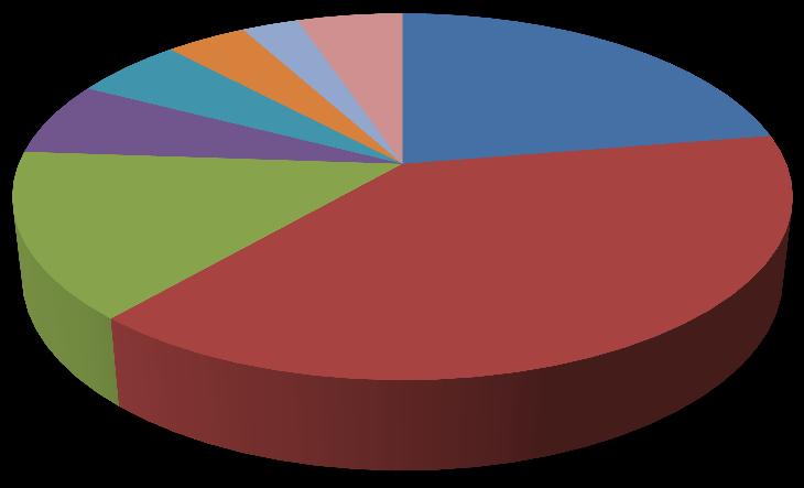 Andamento flussi turistici Ripartizione presenze - 2008 5,4% 6,5% 4% 2,8% 5,2% 22,4% ITA DE UK / IRL 14,7% A-CH BENELUX 39%