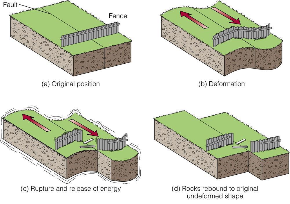 Dinamica dei terremoti Faglia (1) Posizione iniziale (2) Deformazione elastica Teoria del rimbalzo elastico Sottoposte a determinate sforzi, le rocce si deformano elasticamente, accumulano energia