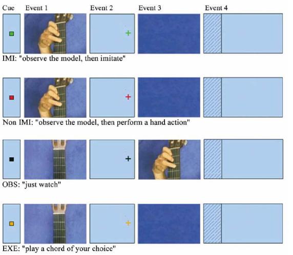 Diversi modelli per spiegare l apprendimento via imitazione di un nuovo pattern d azione. Secondo A.