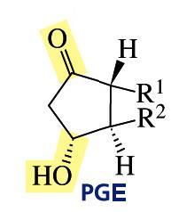 Prostaglandine Sono molecole con struttura derivata da quella dell acido arachidonico, generalizzabile, come scheletro essenziale, con quella riportata di seguito: H COOH H Sono responsabili della