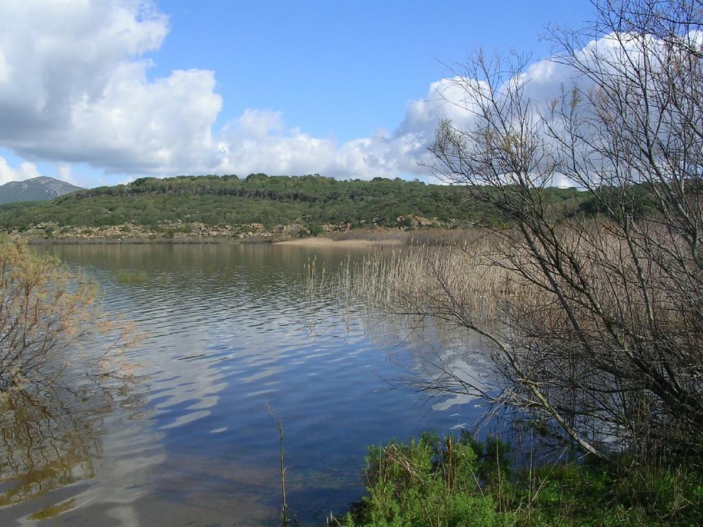 Stintino Sinergia con l'ente Foreste