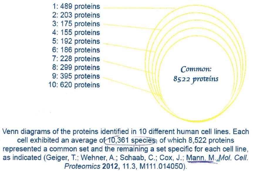 Proteomica OGGI: 14-15000 proteine espresse in ogni