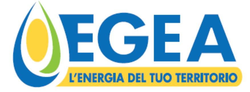 CAPOGRUPPO EGEA ENTE GESTIONE ENERGIA E AMBIENTE SPA ANNO 2015 BILANCIO