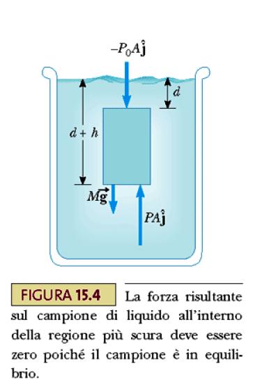 Fluidostatica (equilibrio dei fluidi)-stevino() Determiniamo ora come varia la pressione all interno di un fluido a riposo Definiamo: - forze di volume: le forze che, come la forza peso, vengono