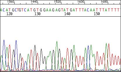 000 geni Dna non