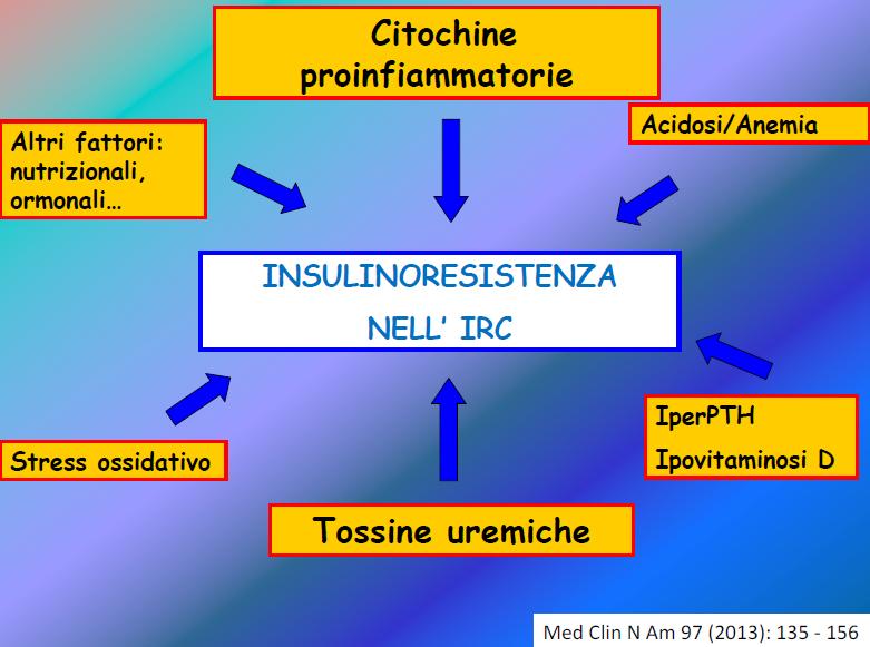 L insufficienza renale determina Alterazioni multiple nel metabolismo dei carboidrati e dell insulina che debbono essere considerati quando scegliamo una