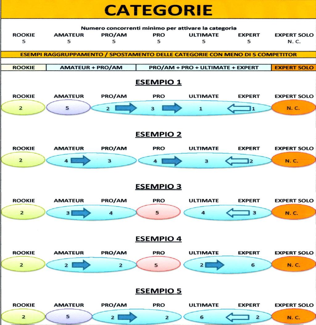 CATEGORIE E SPECIFICHE IASCA 2013 Nello schema sottostante troverete le categorie ufficiali IASCA del Campionato 2013.