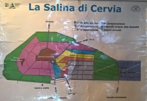 Sale Dolce di Cervia della Riserva Camillone Come si fa il Sale Dolce di Cervia La Salina di Cervia si estende per 827 ettari, è composta da oltre 50 bacini ed è circondata da un canale di oltre 16