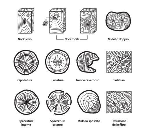 cioè quei legni che provengono dai Paesi della fascia equatoriale: sono legni esotici il palissandro, il mogano, il tek, l iroko, l ebano, il noce tanganika.