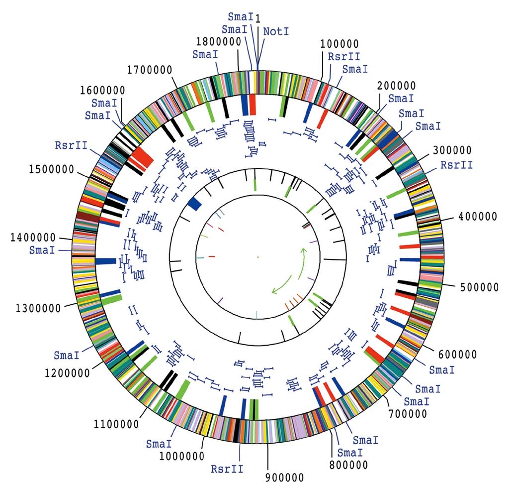 Genoma di Hemophilus influenzae, il primo genoma