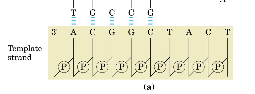 E possibile determinare la sequenza di