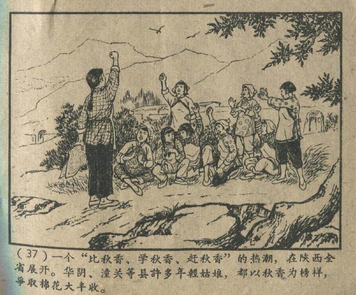 Figura 5 Un ondata di competi con Qiuxiang, impara da Qiuxiang, raggiungi Qiuxiang, si diffuse nell intera provincia dello Shaanxi.