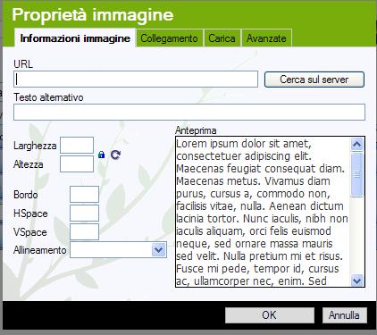 pesante in termini di Byte in quanto poi dovrà essere scaricata dal browser degli utenti e ciò potrebbe rallentare il caricamento della pagina stessa - consigliato massimo 100 Kb) Anche qui se si