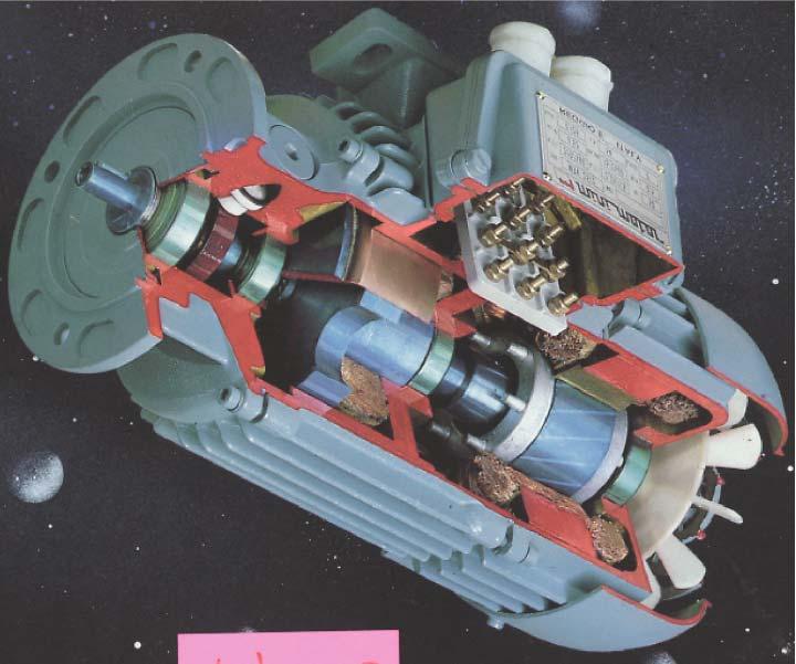 Motore asincrono rappresentato in sezione motori elettrici sono i principali dispositivi che trasformano l energia elettrica in energia