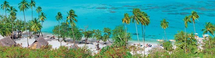 Nel primo pomeriggio trasferimento al porto ed imbarco sul catamarano veloce in direzione di Moorea, si consiglia di sedersi nella parte scoperta dell imbarcazione per godere di un panorama