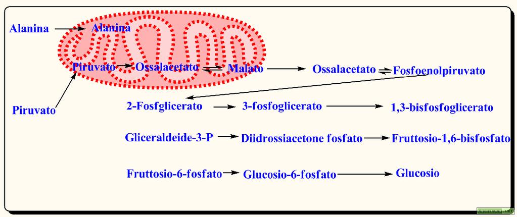 _2_AUMENTO DELLA